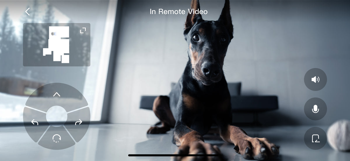 DJI ROMO P - Robot aspirador y fregasuelos para la limpieza del hogar