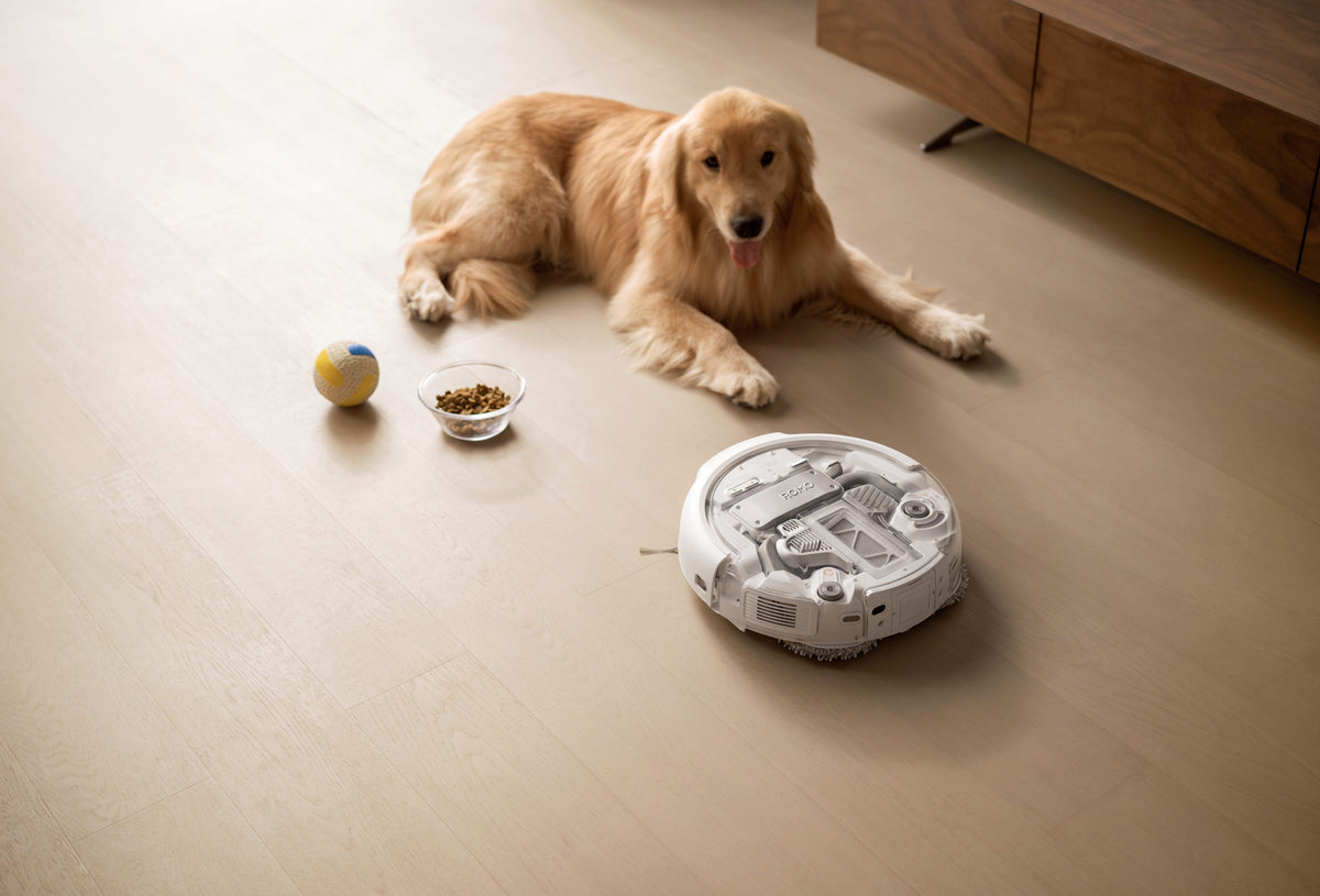 DJI ROMO A - Robot aspirador y fregasuelos para la limpieza del hogar